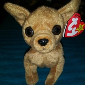 Tiny the Chihuahua. TY Original Beanie babies.